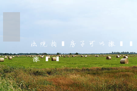 法院拍賣房子可以撤訴嗎(法院拍賣房子可以撤訴嗎)