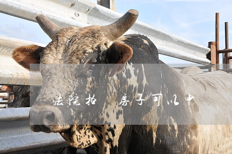 法院拍賣房子可以申請執(zhí)行異議嗎