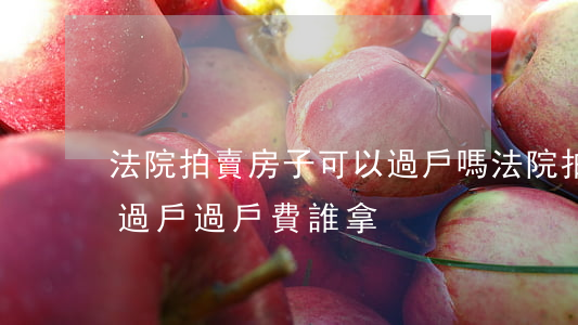 法院拍賣房子可以過戶嗎(法院拍賣房子怎么過戶,過戶費誰拿)