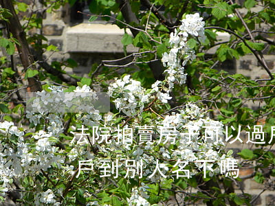 法院拍賣房子可以過戶家屬嗎(法拍房可以過戶到別人名下嗎)