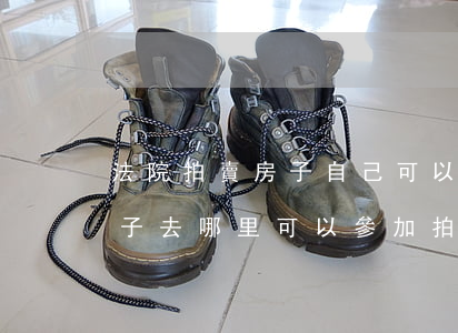 法院拍賣房子自己可以去拍嗎(法院拍賣的房子去哪里可以參加拍賣)