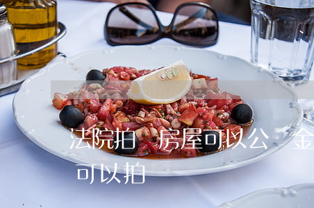 法院拍賣房屋可以公積金貸款嗎(有房貸法院可以拍賣嗎)