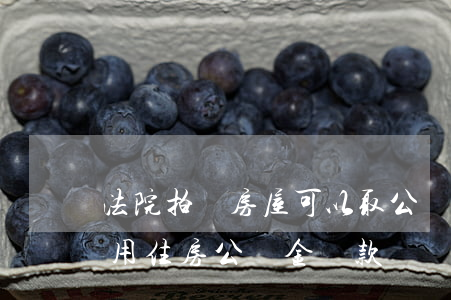 法院拍賣房屋可以取公積金嗎(法院拍賣房能用住房公積金貸款嗎?)