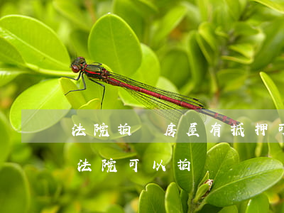 法院拍賣房屋有抵押可以買嗎(有抵押的房子法院可以拍賣嗎)