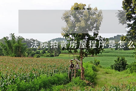 法院拍賣房屋程序是怎么樣