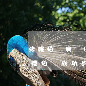 法院拍賣房產(chǎn)不過戶可以嗎(法院拍賣成功的土地暫時(shí)不過戶可以嗎?)