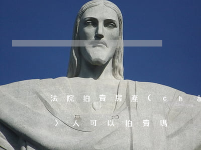 法院拍賣房產(chǎn)債權(quán)人可以拍賣嗎