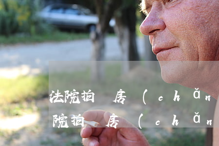 法院拍賣房產(chǎn)可以公積金嗎(法院拍賣房產(chǎn)可以公積金嗎)