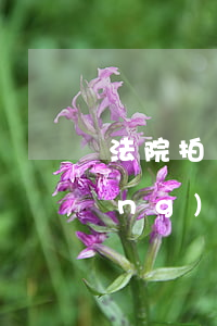 法院拍賣房產(chǎn)可以強(qiáng)制過戶嗎(法院拍賣的房子過不了戶)