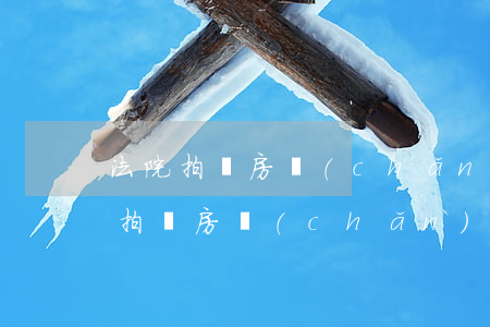法院拍賣房產(chǎn)可以按揭嗎(司法拍賣房產(chǎn)可以貸款買嗎)