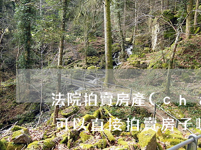 法院拍賣房產(chǎn)可以落戶嗎(法院可以直接拍賣房子嗎)