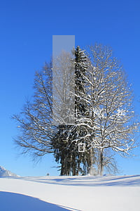 法院拍賣房產(chǎn)可以轉(zhuǎn)名嗎(法院房產(chǎn)變賣與拍賣的區(qū)別)