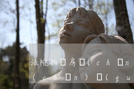 法院拍賣房產(chǎn)可以過戶部分產(chǎn)權(quán)嗎(法院拍賣的房子過不了戶)