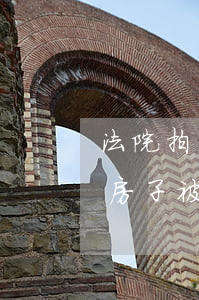 法院拍賣房產(chǎn)家居可以拉走嗎(房子被拍賣里面的家具可以帶走嗎)
