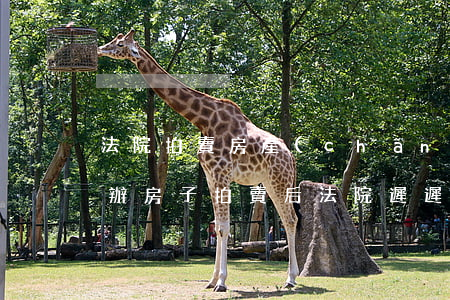 法院拍賣房產(chǎn)逾期沒交錢怎么辦(房子拍賣后法院遲遲不給我錢)