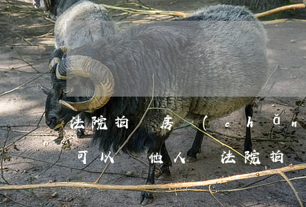 法院拍賣房產(chǎn)過(guò)戶可以寫他人嗎(法院拍賣房產(chǎn)會(huì)通知房產(chǎn)證上所有的人嗎?)