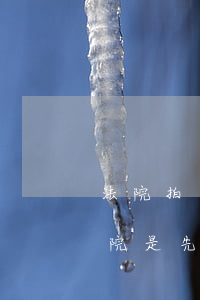 法院拍賣期間可以實(shí)施拘留嗎(法院是先拍賣還是先拘留)