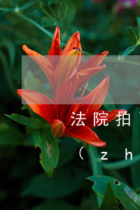 法院拍賣款可以申請保全嗎(房屋保全申請執(zhí)行多久能拍賣)