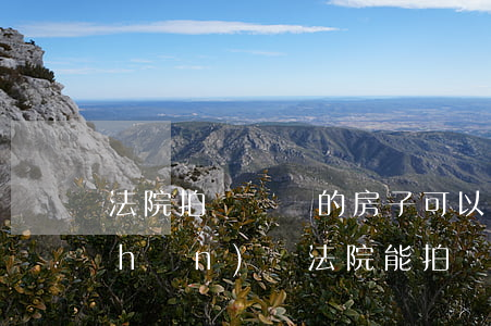 法院拍賣沒證的房子可以買嗎(沒有房產(chǎn)證法院能拍賣)