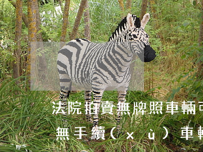 法院拍賣無牌照車輛可以入戶嗎(法院拍賣的無手續(xù)車輛如何落戶)