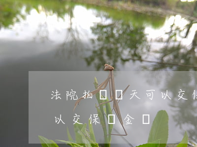 法院拍賣當天可以交保證金嗎(法拍房當天可以交保證金嗎)