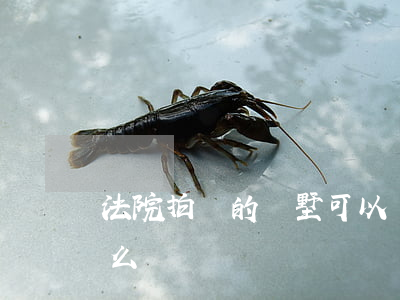 法院拍賣的別墅可以貸款嗎(法院拍賣能貸款么)