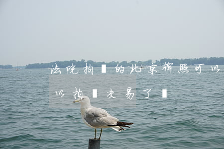 法院拍賣的北京牌照可以過戶嗎(北京牌照可以拍賣交易了嗎)
