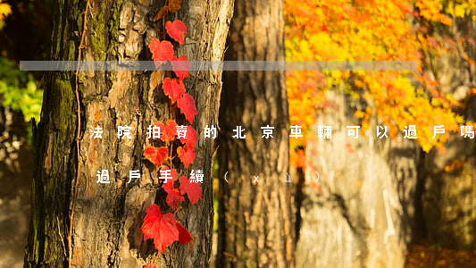法院拍賣的北京車輛可以過戶嗎(法院拍賣車過戶手續(xù))