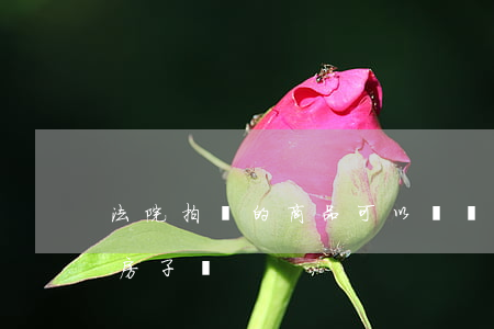 法院拍賣的商品可以賣嗎(法院可以直接拍賣房子嗎)