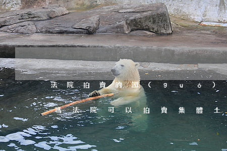 法院拍賣的國(guó)有土地可以建房子嗎(法院可以拍賣集體土地上的房子嗎?)