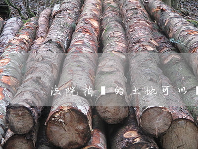 法院拍賣的土地可以賣嗎(法院司法拍賣土地)