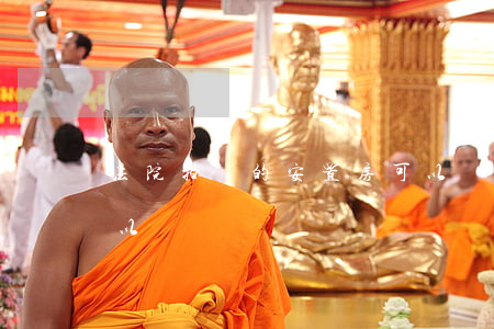 法院拍賣的安置房可以買嗎(安置房法律上可以買賣嗎)