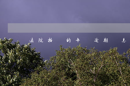 法院拍賣的年檢逾期車怎么辦
