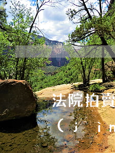 法院拍賣的待拍照車可以買嗎(法院賣車能競(jìng)拍到嗎)