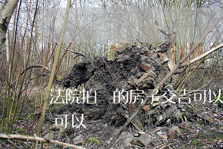 法院拍賣的房子交吉可以買嗎(拍賣行的房子可以買嗎) 法院拍賣的房子交吉可以買嗎(拍賣行的房子可以買嗎)