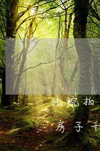 法院拍賣的房子原房主可以買嗎(法院拍賣的房子千萬不能買)