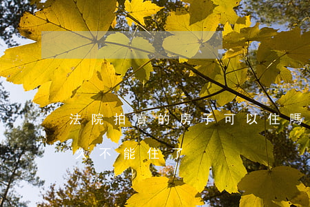 法院拍賣的房子可以住嗎(法院拍賣房子后多久不能住了)