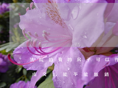 法院拍賣的房子可以作廢嗎(法院拍賣的房子成交后能不能撤銷)