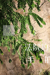 法院拍賣的房子可以再次轉(zhuǎn)手嗎(拍賣過來的房子能不能再賣)