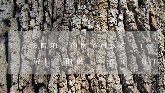 法院拍賣的房子可以注冊(cè)公司嗎(法院拍賣的破產(chǎn)公司的房子能買嗎)