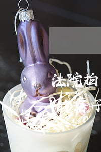 法院拍賣的房子可以看房嗎(在哪看法院拍賣的房子)