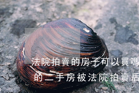 法院拍賣的房子可以買嗎不能過戶(不能過戶的二手房被法院拍賣后可以過戶嗎)