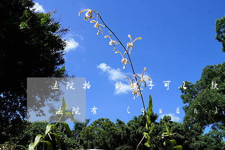 法院拍賣的房子可以貸款拍嗎(有貸款的房子法院有權(quán)拍賣嗎)