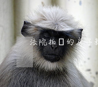 法院拍賣的房子新規(guī)定
