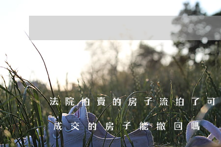 法院拍賣的房子流拍了可以撤回嗎(法院拍賣成交的房子能撤回嗎)