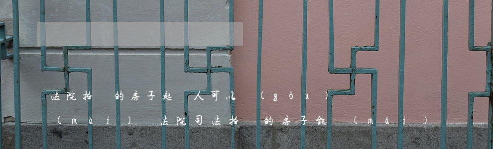 法院拍賣的房子起訴人可以購(gòu)買(mǎi)嗎(法院司法拍賣的房子能買(mǎi)嗎)