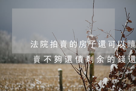 法院拍賣的房子還可以贖回嗎(房子被法院拍賣不夠還債剩余的錢還要還嗎)