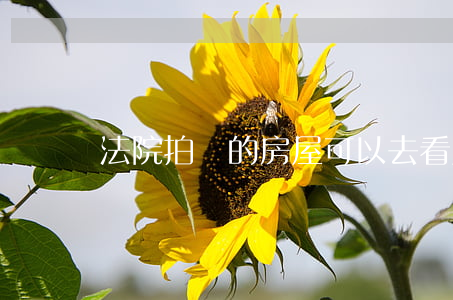 法院拍賣的房屋可以去看屋嗎