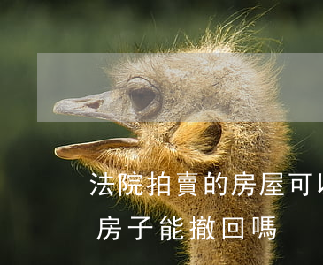 法院拍賣的房屋可以撤銷嗎(法院拍賣成交的房子能撤回嗎)