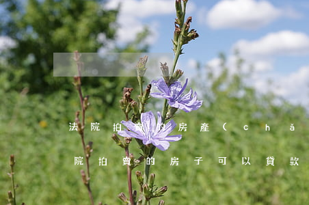 法院拍賣的房產(chǎn)可以貸款嗎(法院拍賣的房子可以貸款嗎)